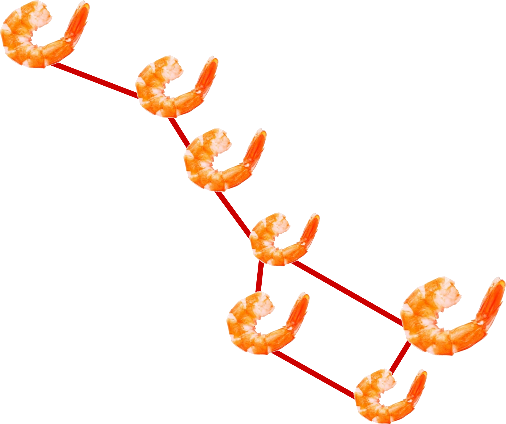 Science Research Mentoring Program - Shrimp (1764x1480), Png Download