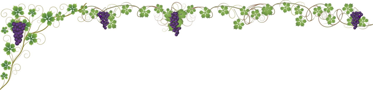 Tratamientos Estéticos Faciales En Uvamiel (1280x311), Png Download