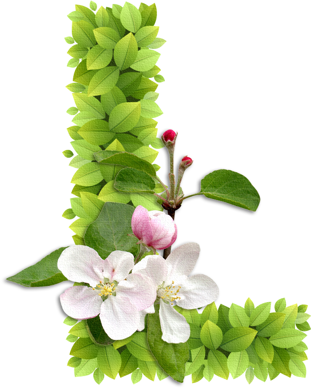 Ch - B *✿* - Abecedario Con Plantas (649x828), Png Download