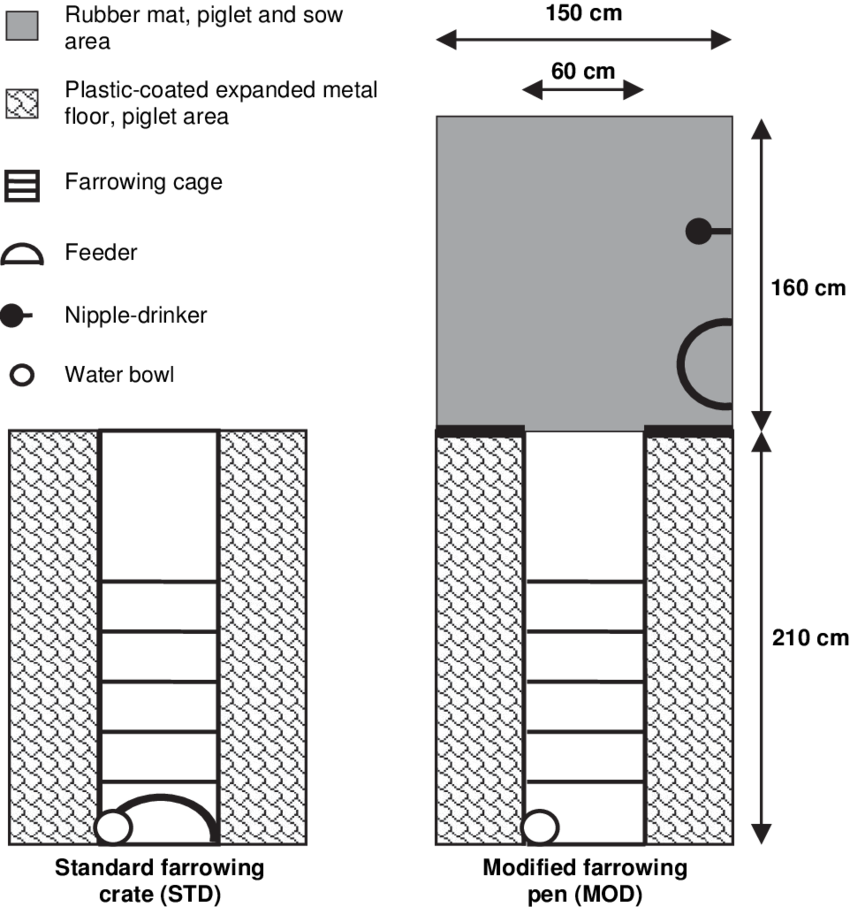 Schematic Drawing Of The Two Farrowing Pen Types - Drawing (850x907), Png Download