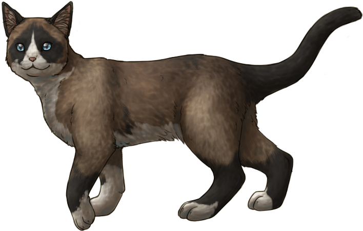 Example Snowshoe Cat Walking - Cat Walking Png Transparent (715x472), Png Download