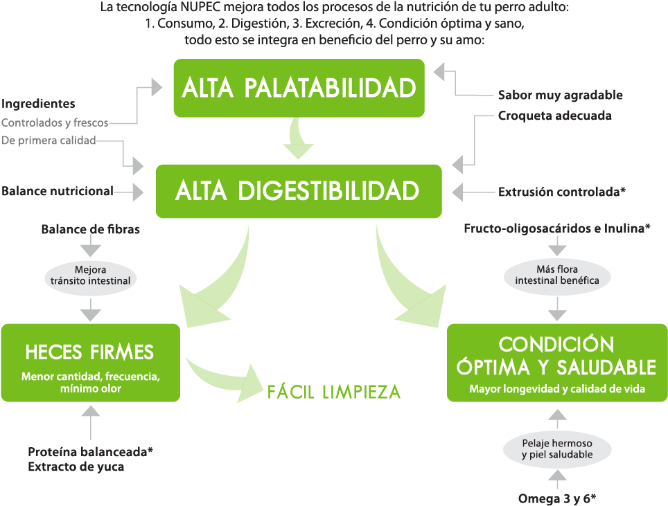 Croquetas Nupec® Adulto - Adulto Nupec (1051x840), Png Download