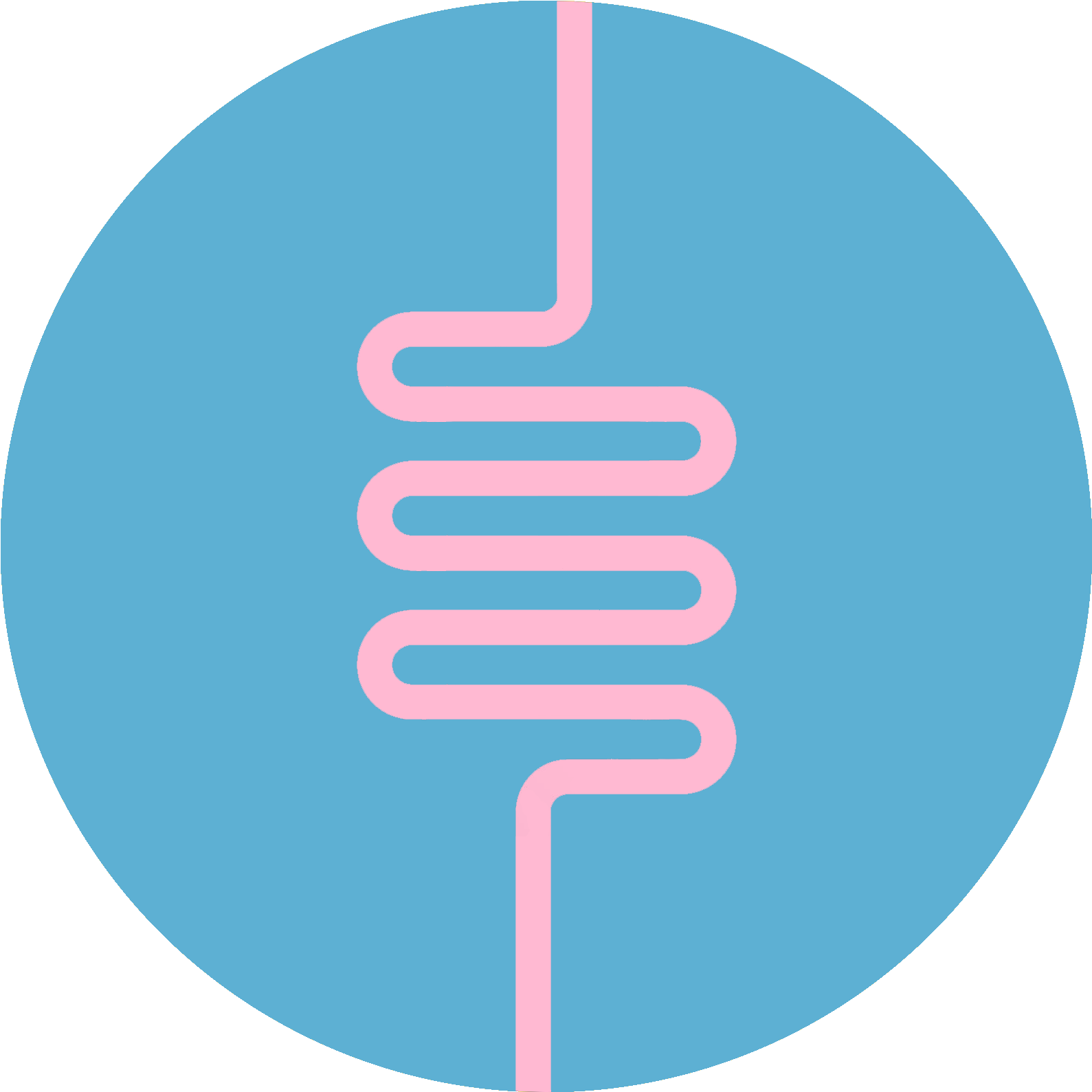 Gut Development And Function In Response To Maternal - Circle (1602x1598), Png Download