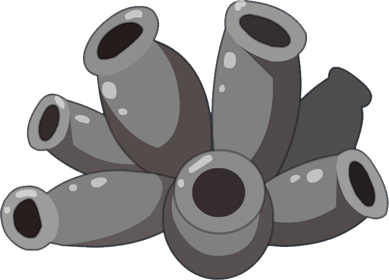 Corail 1 (fr) - Cannon (800x576), Png Download