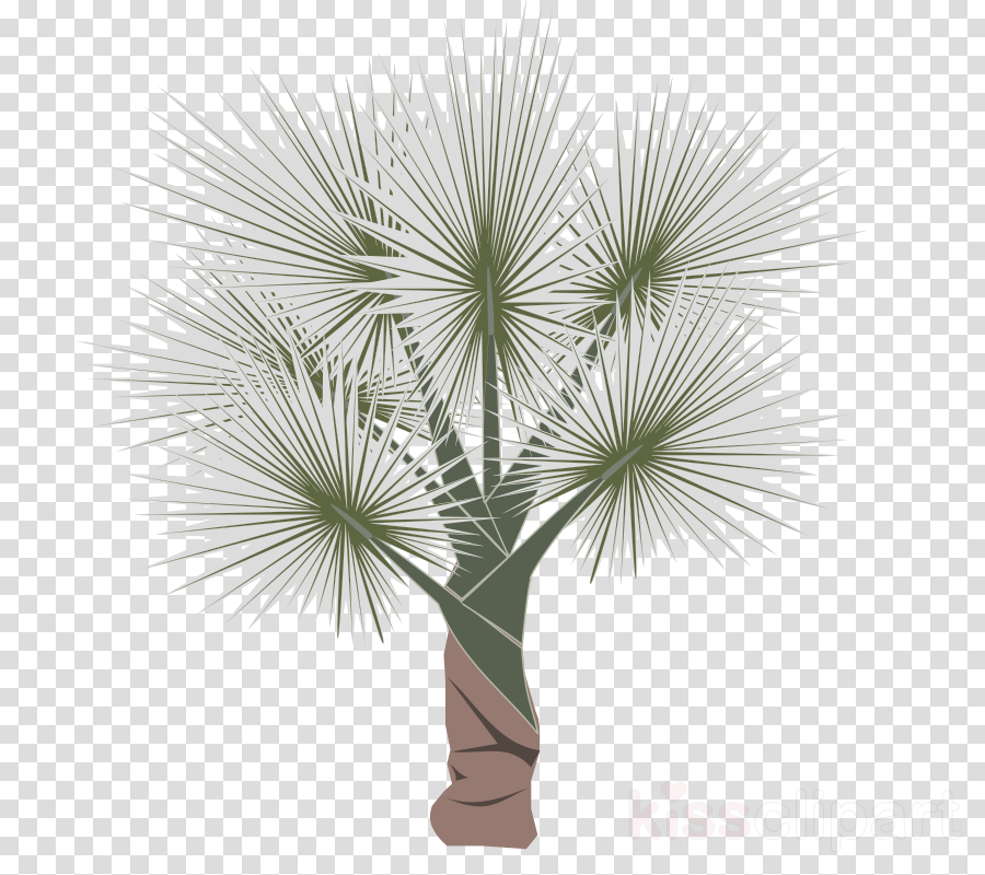 Icon Clipart Palm Trees Computer Icons Clip Art - Clip Art (900x800), Png Download