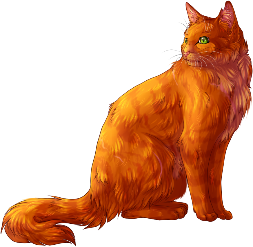 Firestar - Warriors Firestar (913x876), Png Download