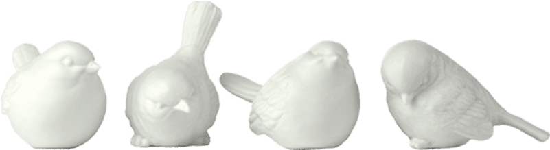 “sparrow” Set Of 4 Small Birds - Skull (800x800), Png Download