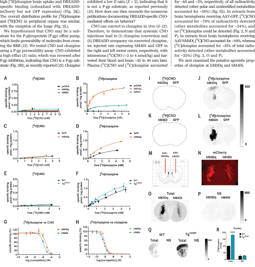 Download - Receptor Activated Solely By A Synthetic Ligand (850x888), Png Download