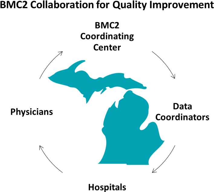 Although Blue Cross Blue Shield Of Michigan And Bmc2 - Michigan H5 Large Tote Bag, Adult Unisex, Natural, (812x718), Png Download
