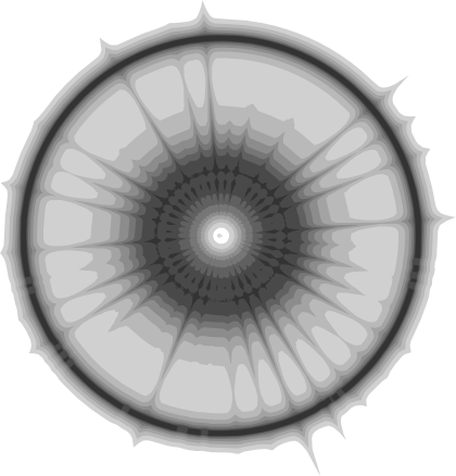 Flare - Circle (420x438), Png Download