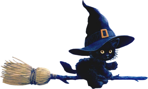 Witch-019 - Cat On Broom (482x290), Png Download