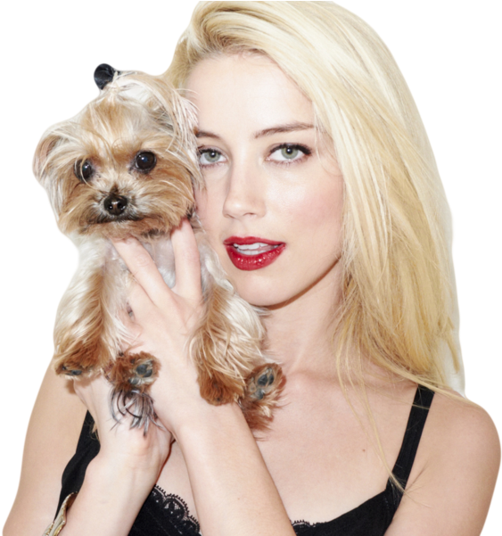 Share This Image - Amber Heard (898x600), Png Download