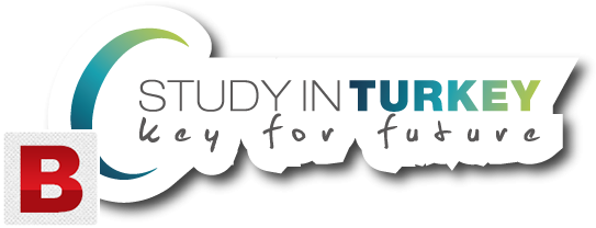 Pictures Of Free Study In Turkey 100% Scholarship In - Graphic Design (595x245), Png Download