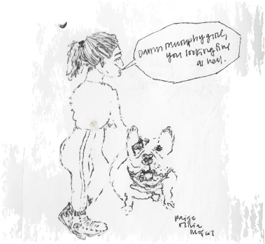 French Bulldog Illustration - Sketch (379x350), Png Download