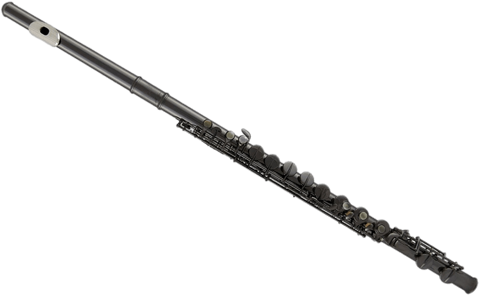 Download - Harry Potter Fleur Wand (990x612), Png Download
