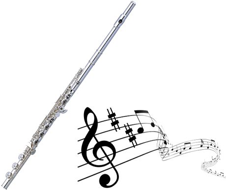 Contact David Summer - Piano Part To Viola Friends 1: Accompaniment (500x425), Png Download