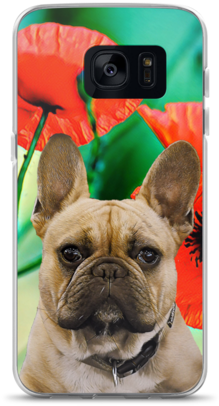 French Bulldog Phone Case - My French Bulldog Notebook (500x500), Png Download