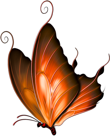 October 2015 « Archive - Pink Butterfly Throw Blanket (412x500), Png Download