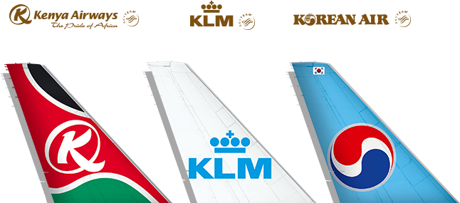 As A Delta Virtual Air Lines Pilot, Enjoy Flying With - Korean Air (713x304), Png Download
