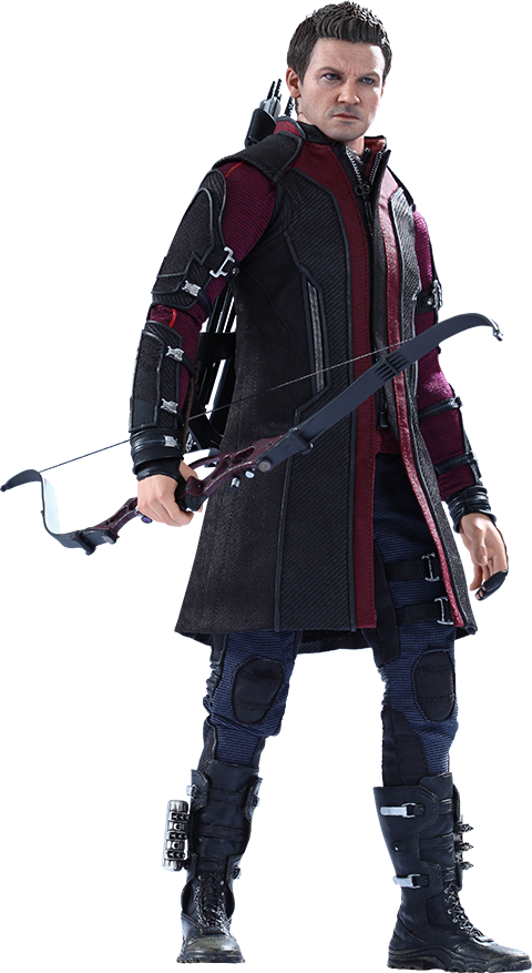 Hawkeye Png Transparent Image - Hot Toys Hawkeye Png (480x877), Png Download