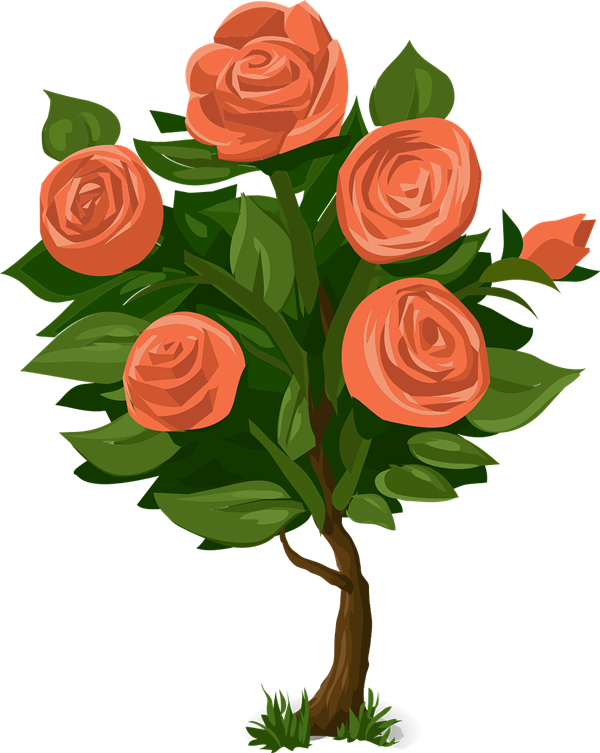 Free Rose Plant Clip Art - Rose Bush Clip Art (600x753), Png Download