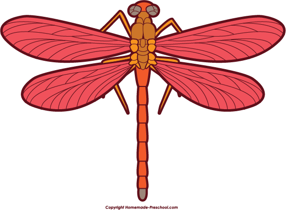 Pink Clipart Dragonfly - Red Dragonfly Clipart (577x425), Png Download