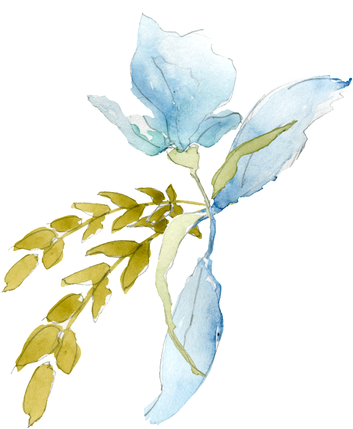 Sky Blue Petals Transparent Decorative - Watercolor Painting (1024x1024), Png Download