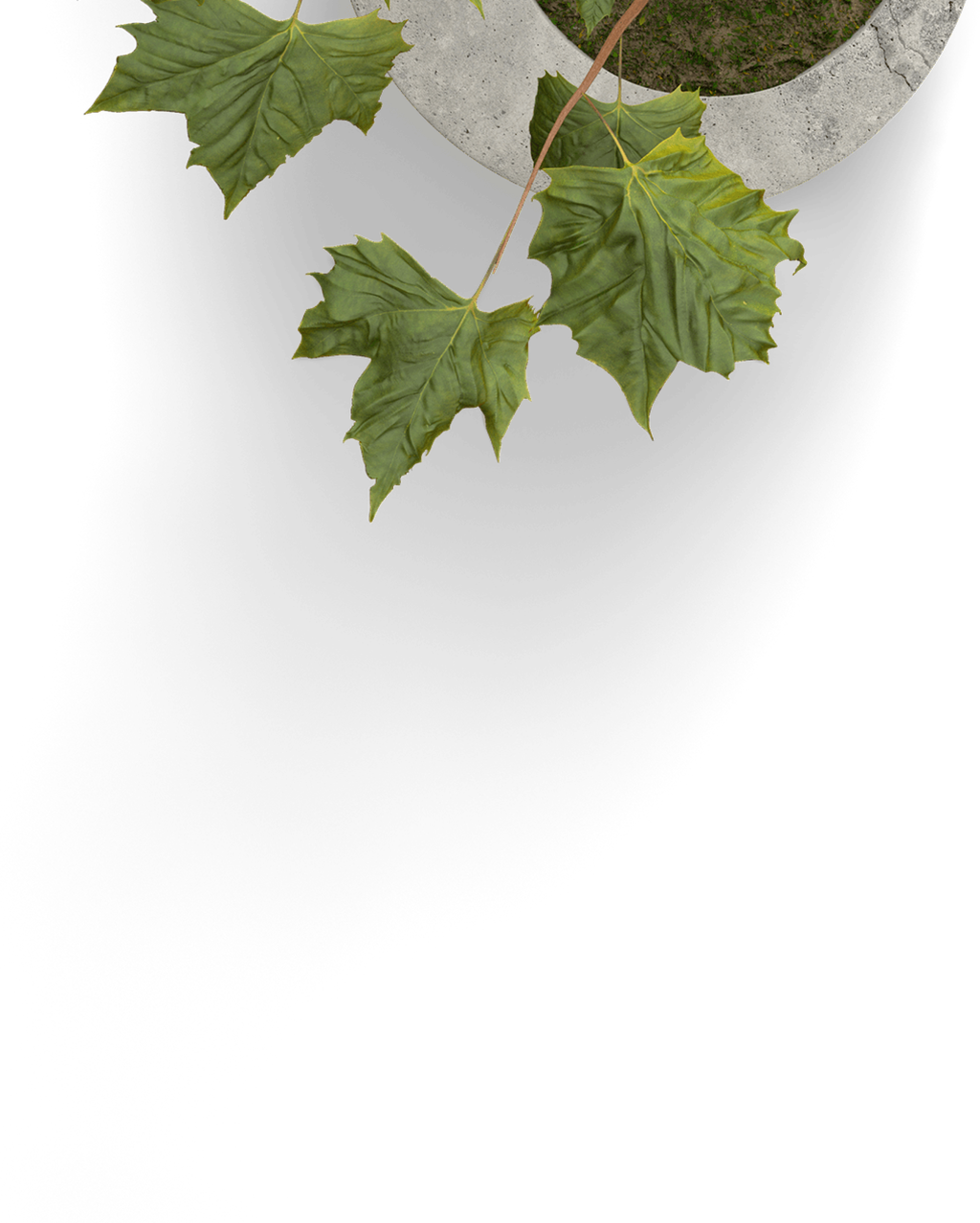 Home Improvement Potted Plant Leaves Transparent - Adventure Wedding Invitations (1024x1278), Png Download