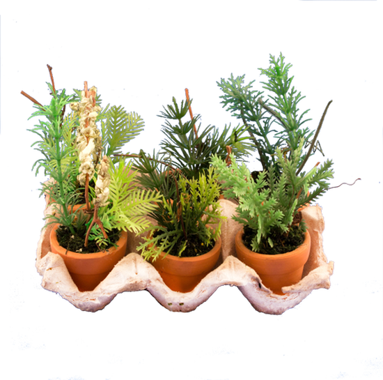Potted Plant Png Download - Artificial Herb Pots (550x545), Png Download