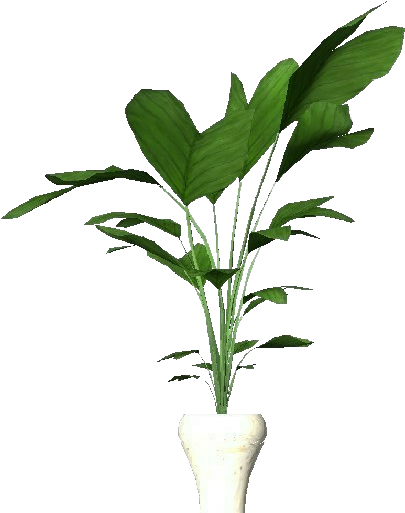Potted Plant For Apartments - Plants (750x527), Png Download