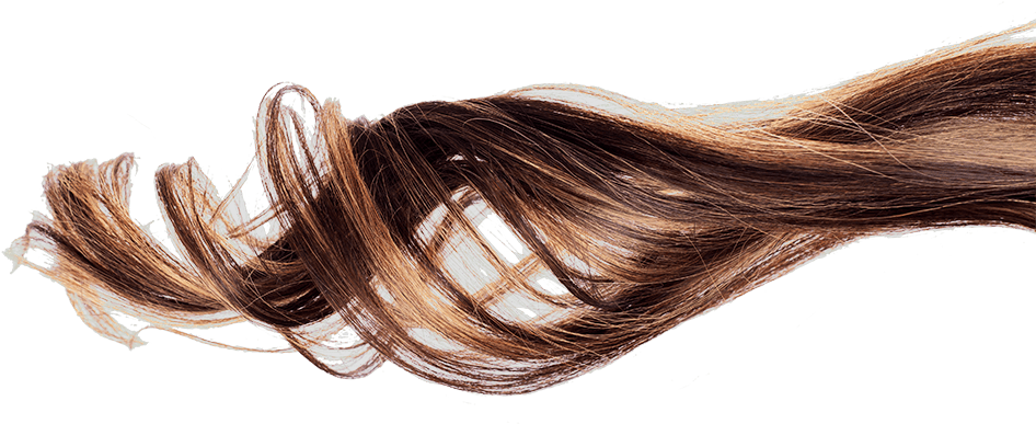 Welcome Ella Rockafella Business - Strand Of Brown Hair (1000x563), Png Download