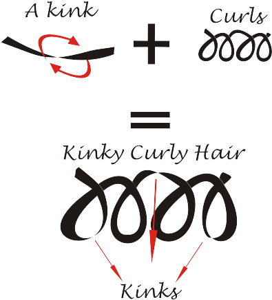 Kinks And Curls Come Together To Form Kinky Curly Hair - Kinky Hair Vs Curly Hair (640x474), Png Download