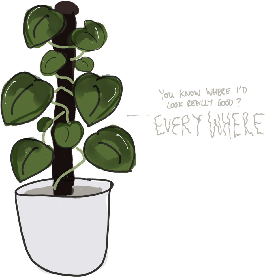 Pottedplant - Portable Network Graphics (1000x1031), Png Download