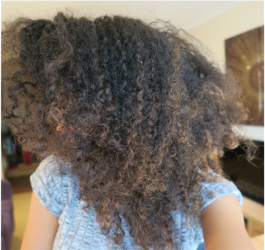 Frizzy Hair = The Cuticle Layer Of Your Hair Is Raised - Afro (1600x900), Png Download