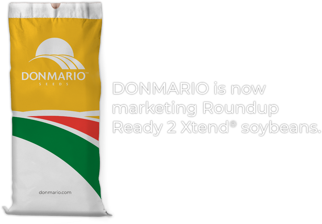 Info Bolsa Txto - Handbag (1051x900), Png Download