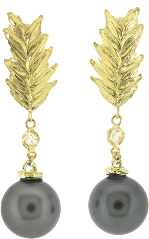 Oklahoma Wheatgrass And Corkscrew Willow Earrings With - Portable Network Graphics (800x800), Png Download