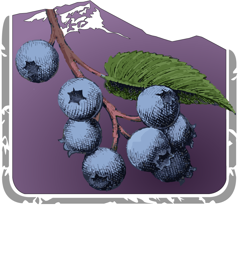 Huckleberry Saison - Lolo Peak Brewing Company (1000x1100), Png Download