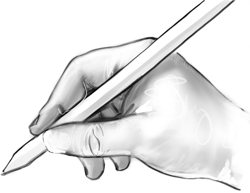 Portfolio (812x650), Png Download