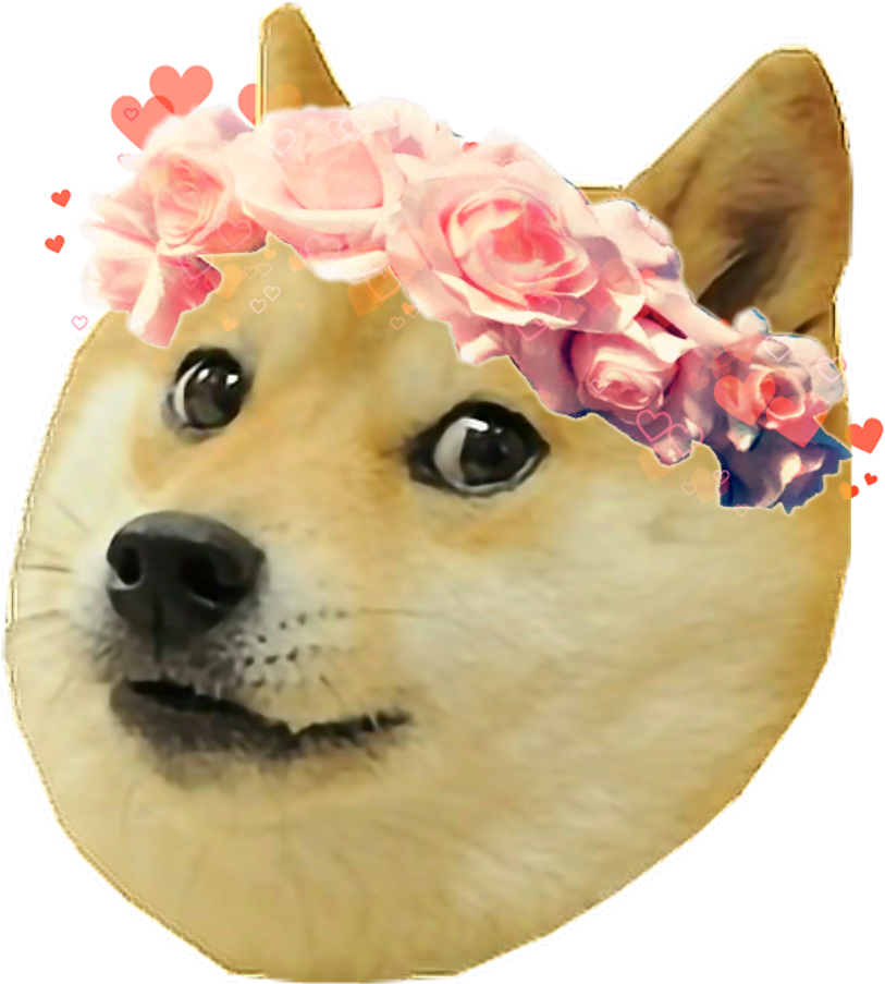 Doggo Bored Idk Dog Meme Doge Funny - Doge Face (1024x1024), Png Download