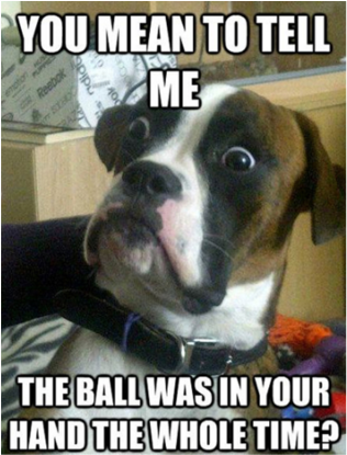 Yes, This Is Dog - Funny Dog Memes (640x494), Png Download