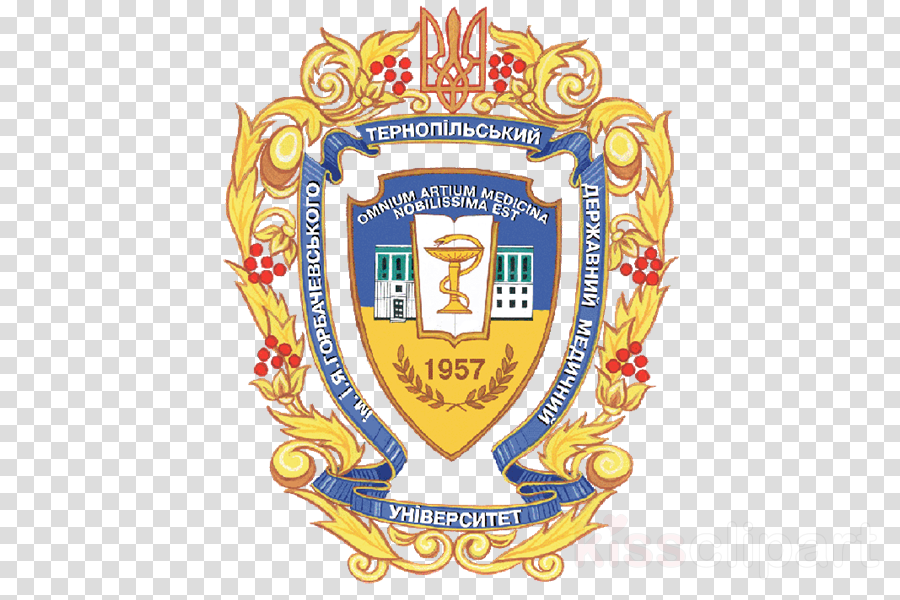 Ternopil State Medical University Png Clipart Ternopil - Ternopil State Medical University (900x600), Png Download
