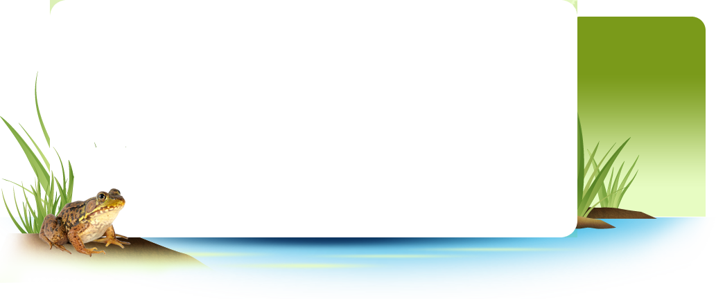 Marquee Frame - Fishing Frame Png Transparent (1033x432), Png Download