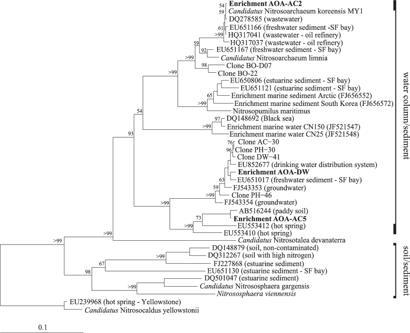Neighbor-joining Phylogenetic Tree Of The Aoa In Enrichment - San Francisco (840x682), Png Download