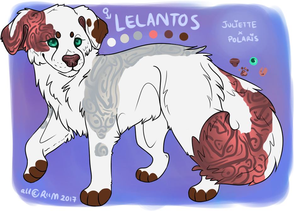 Picture - Dog Catches Something (1000x700), Png Download