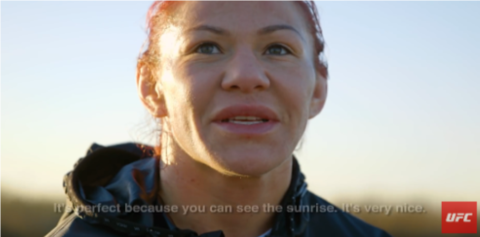 Ufc - Ufc Store (960x720), Png Download