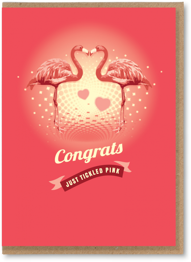 Flamingos - The Typecast Gallery (850x850), Png Download