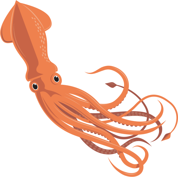 Squid - Moluscos Con Concha Interna (600x597), Png Download