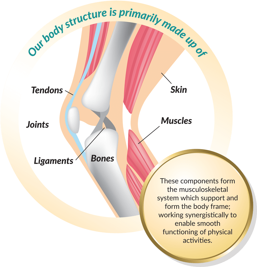 Best Joint Supplement Singapore - Dietary Supplement (885x913), Png Download