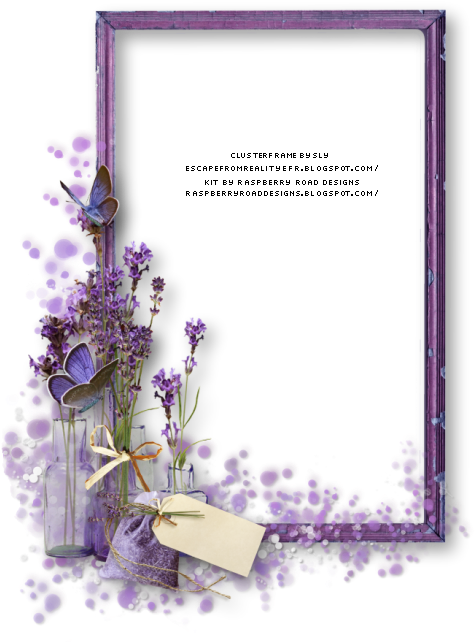 Foto Frame, Digital Scrapbooking Freebies, Paint Shop, - Picture Frame (480x655), Png Download