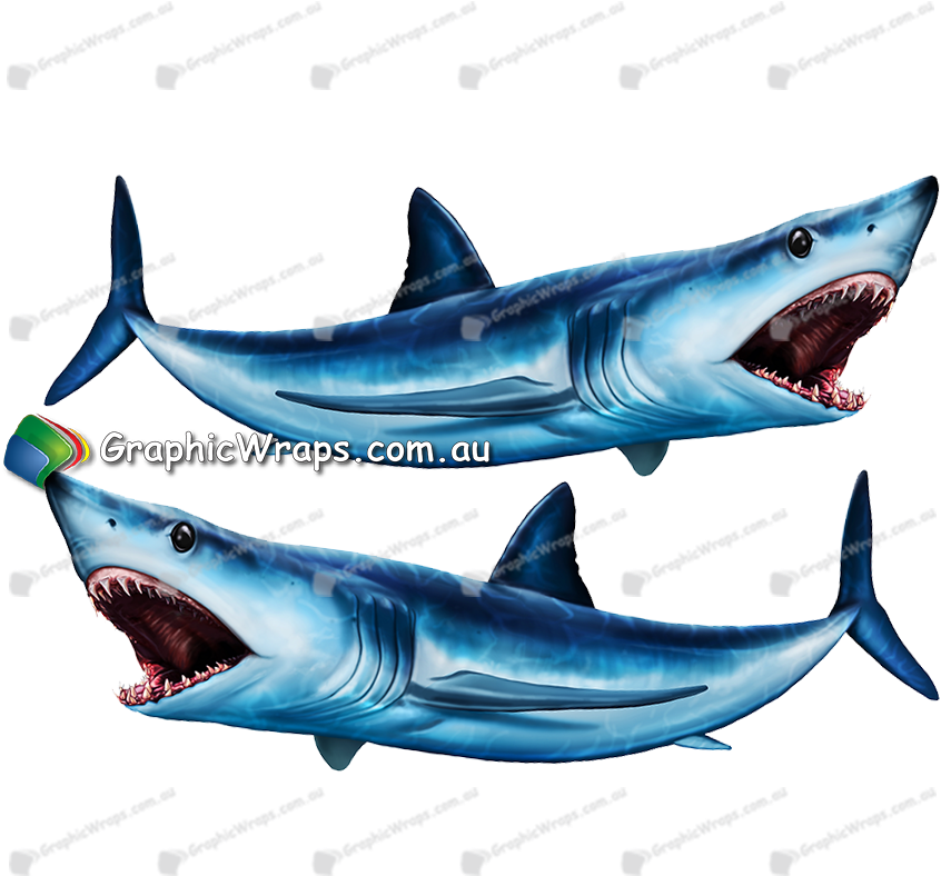 Mako-shark - Great White Shark (884x1073), Png Download